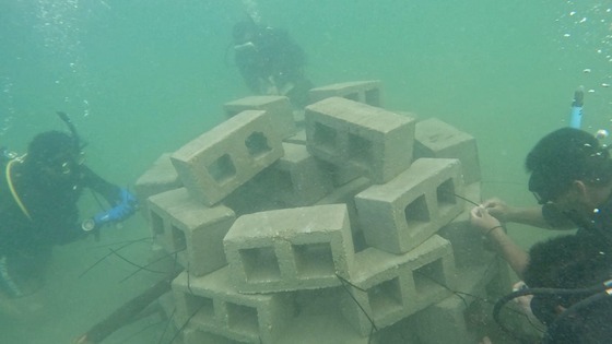 school renovation